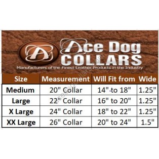 Ace Comfy  Leather Padded Dog Collar with Chrome Studs (Black)